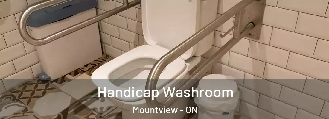  Handicap Washroom Mountview - ON