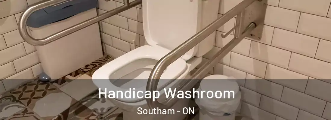  Handicap Washroom Southam - ON