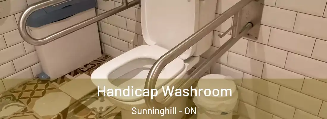  Handicap Washroom Sunninghill - ON