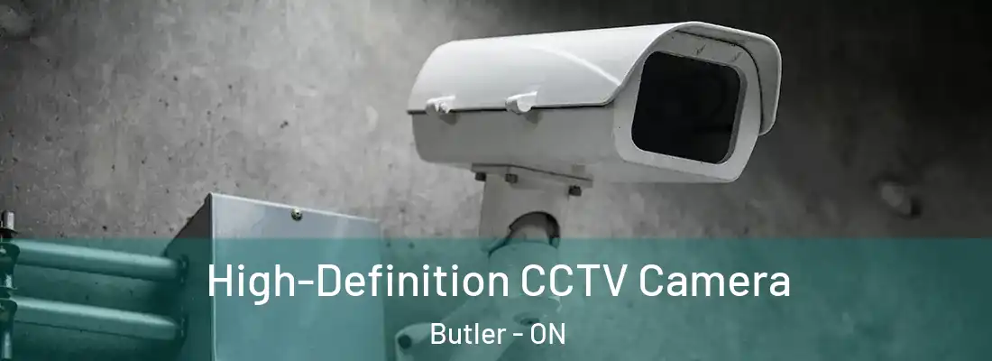  High-Definition CCTV Camera Butler - ON