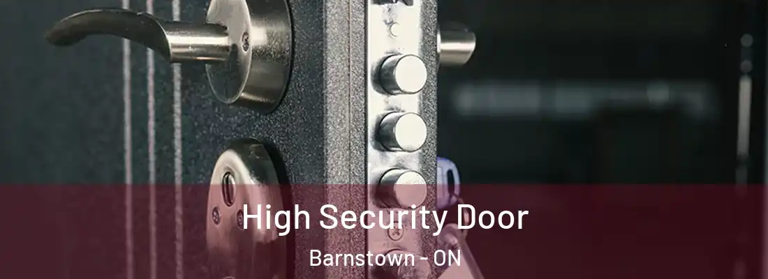  High Security Door Barnstown - ON