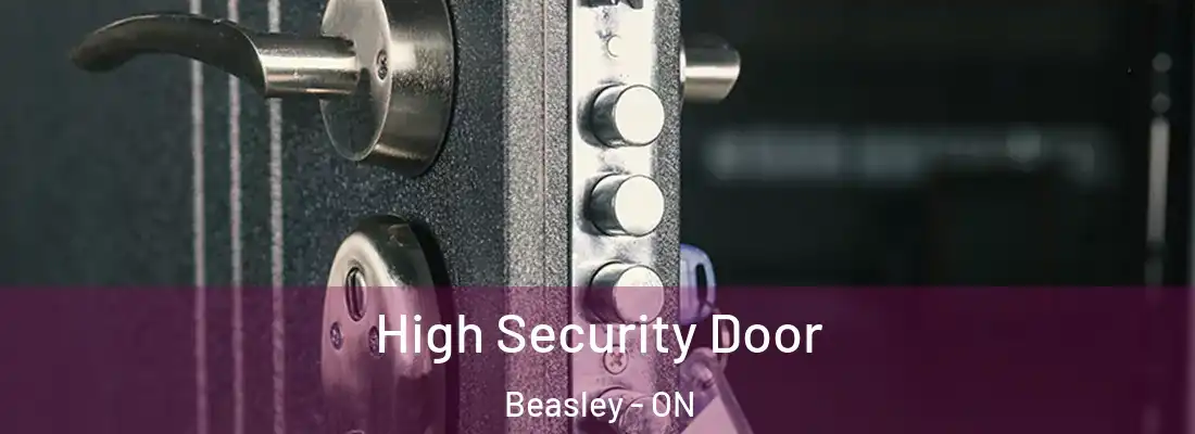  High Security Door Beasley - ON