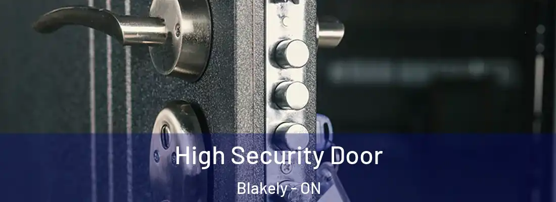  High Security Door Blakely - ON