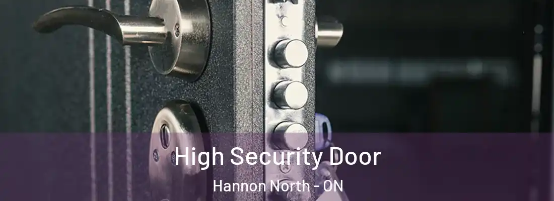  High Security Door Hannon North - ON