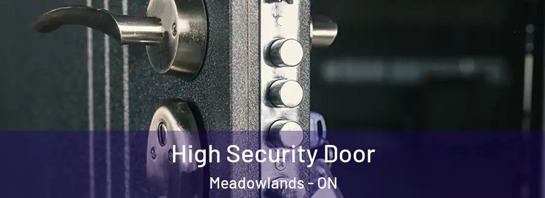  High Security Door Meadowlands - ON