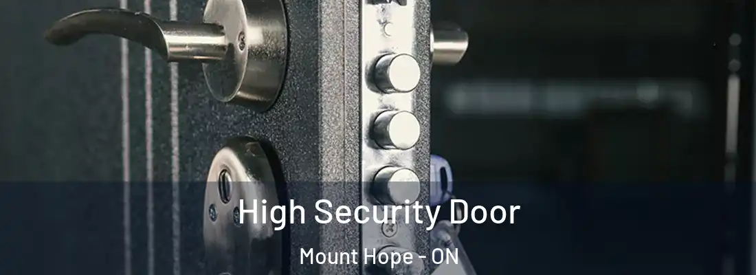  High Security Door Mount Hope - ON