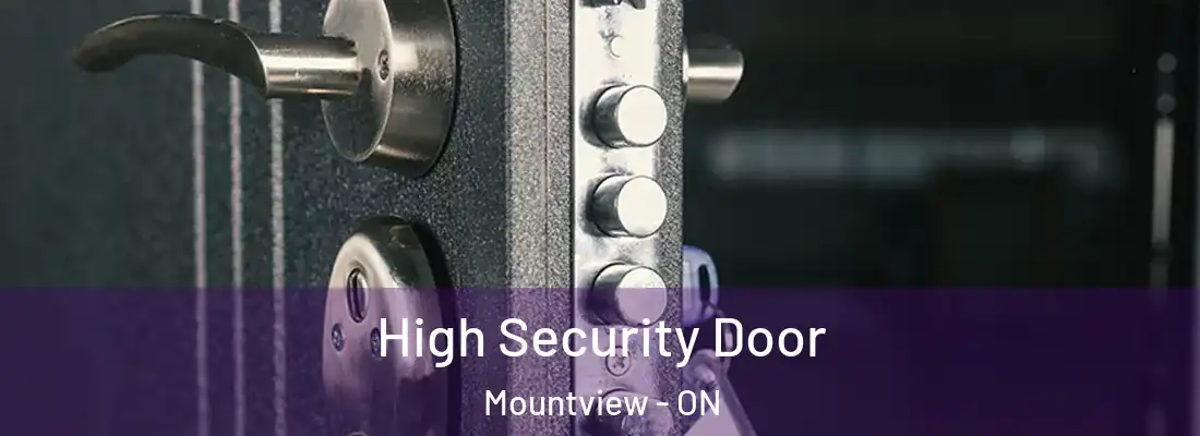  High Security Door Mountview - ON