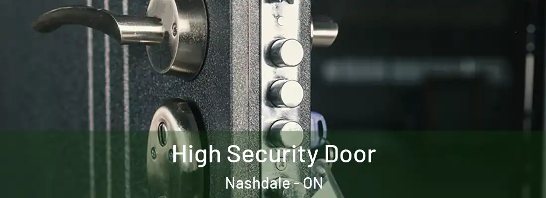  High Security Door Nashdale - ON