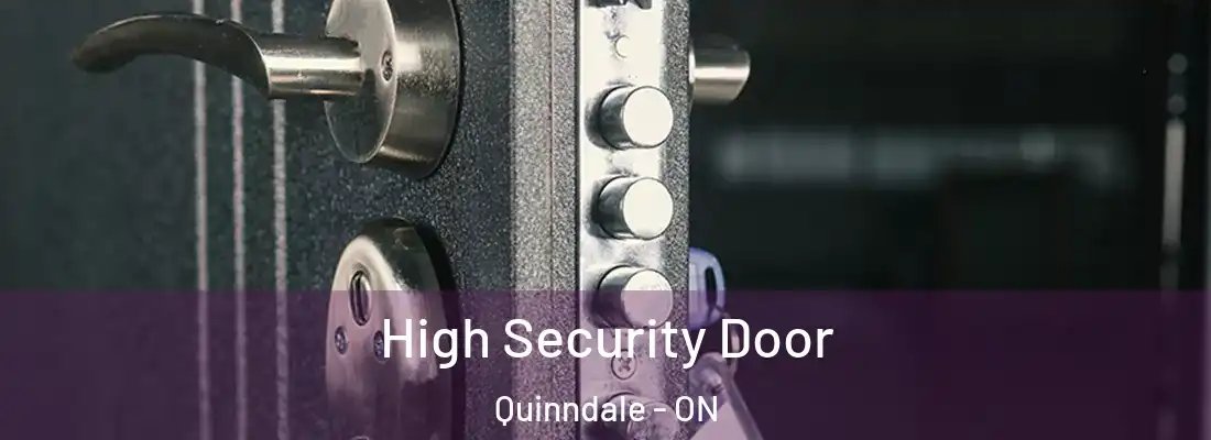  High Security Door Quinndale - ON