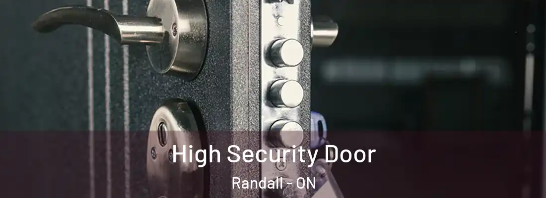  High Security Door Randall - ON