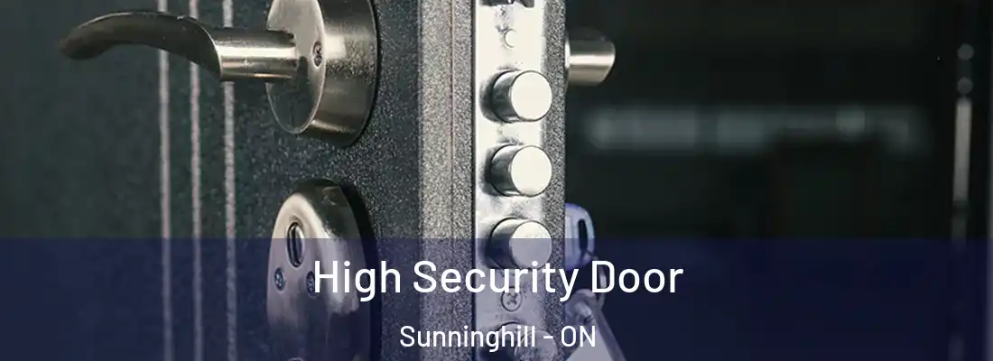  High Security Door Sunninghill - ON