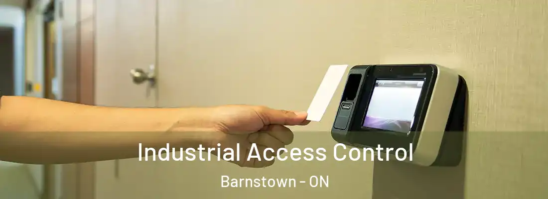  Industrial Access Control Barnstown - ON