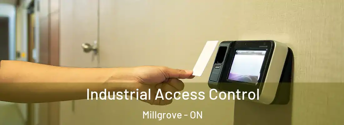  Industrial Access Control Millgrove - ON