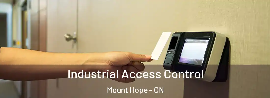  Industrial Access Control Mount Hope - ON