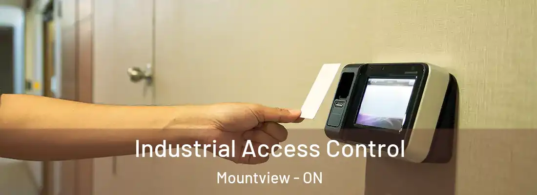  Industrial Access Control Mountview - ON