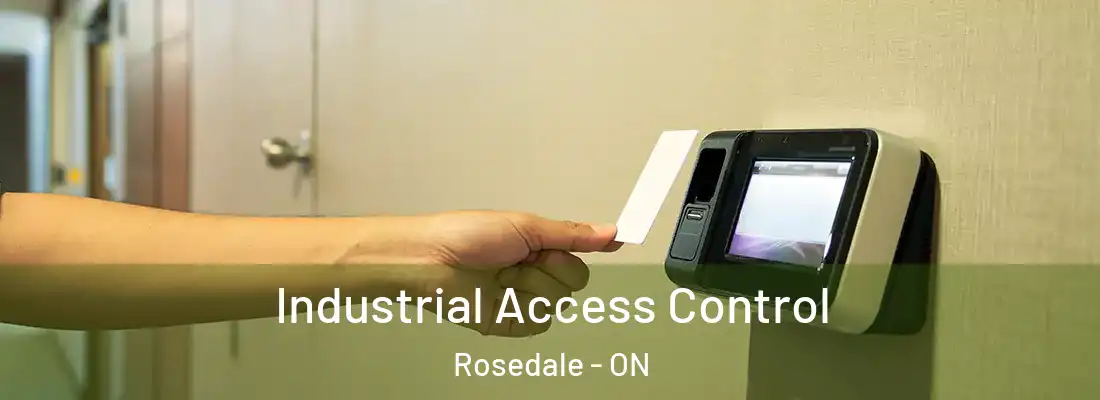  Industrial Access Control Rosedale - ON