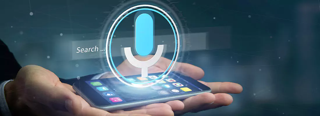Enhance Security with Voice Recognition Access Systems in Balfour, ON
