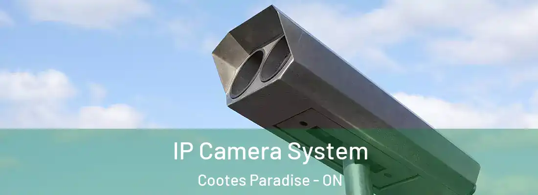  IP Camera System Cootes Paradise - ON