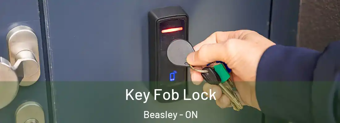  Key Fob Lock Beasley - ON