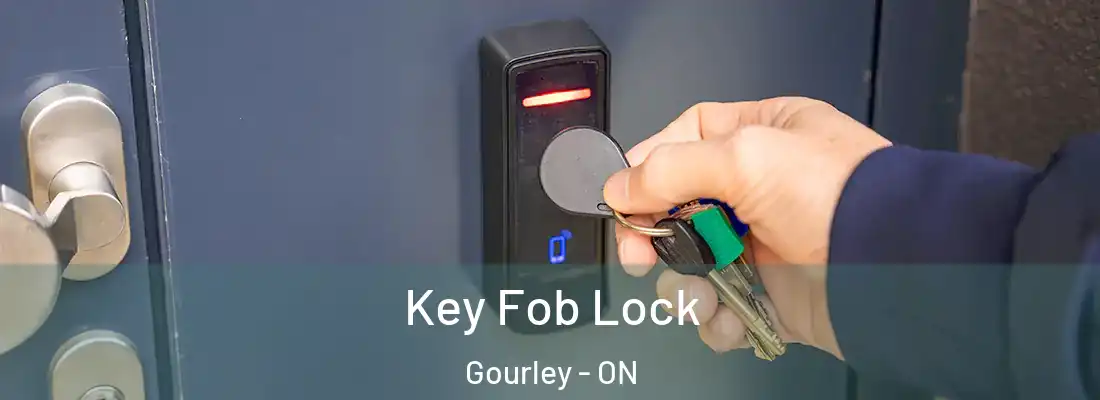  Key Fob Lock Gourley - ON