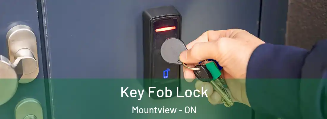  Key Fob Lock Mountview - ON