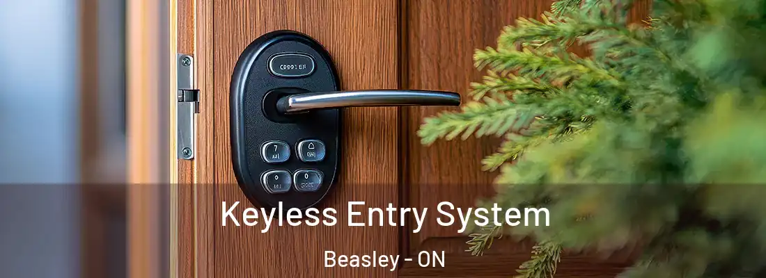  Keyless Entry System Beasley - ON