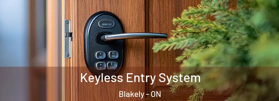  Keyless Entry System Blakely - ON