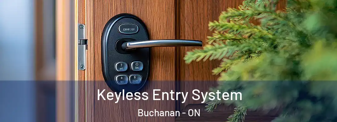 Keyless Entry System Buchanan - ON