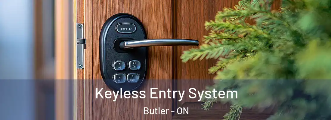  Keyless Entry System Butler - ON
