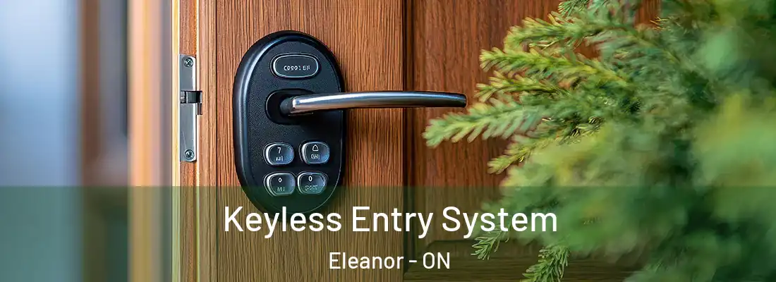  Keyless Entry System Eleanor - ON