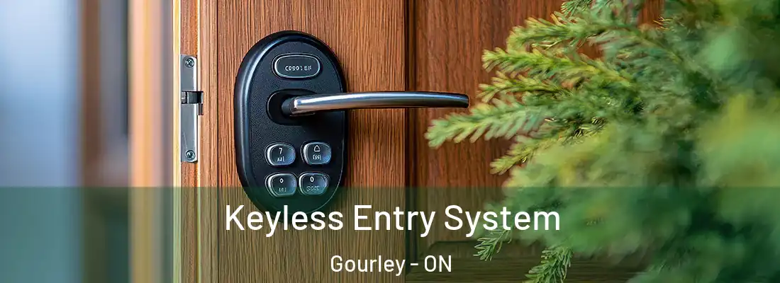  Keyless Entry System Gourley - ON