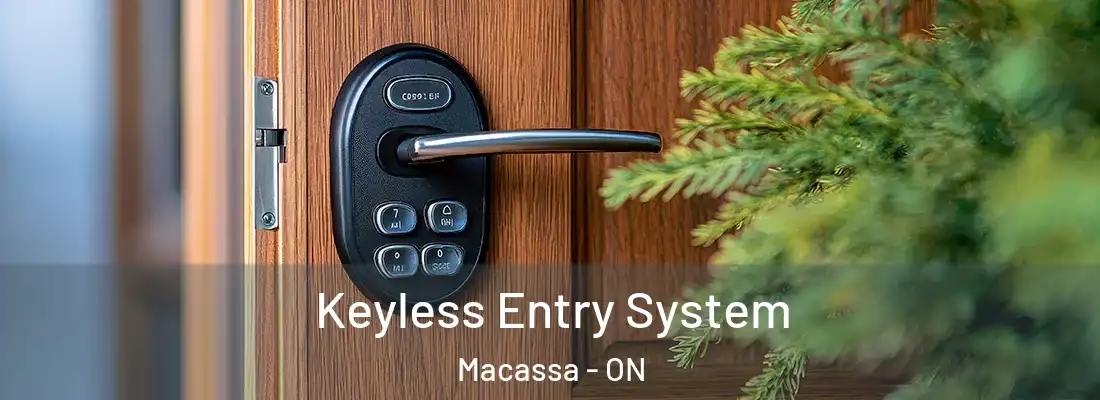  Keyless Entry System Macassa - ON