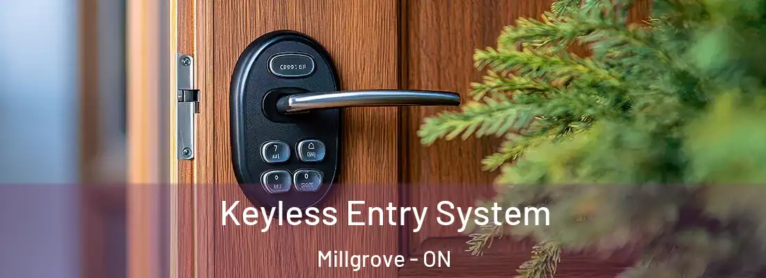  Keyless Entry System Millgrove - ON