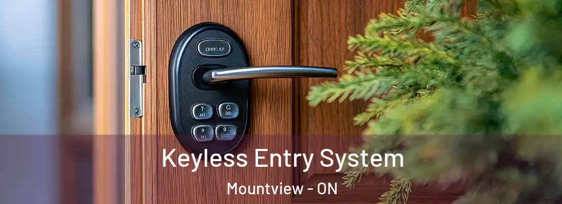  Keyless Entry System Mountview - ON