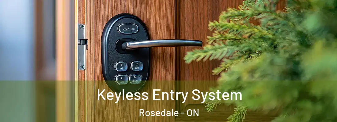  Keyless Entry System Rosedale - ON
