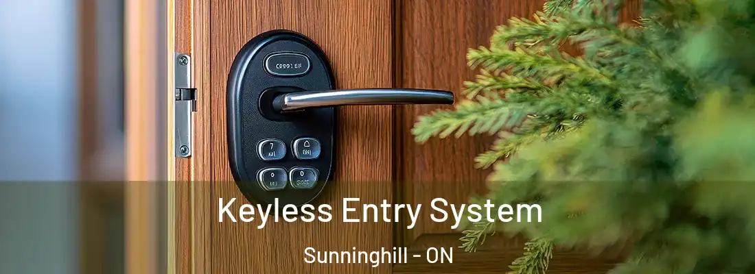  Keyless Entry System Sunninghill - ON