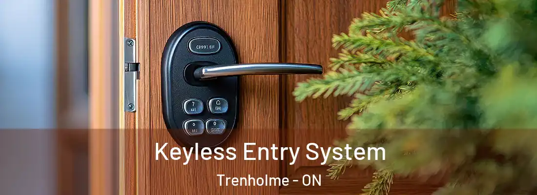  Keyless Entry System Trenholme - ON