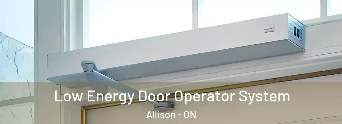  Low Energy Door Operator System Allison - ON
