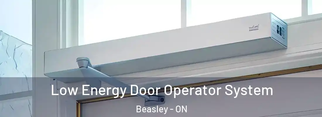  Low Energy Door Operator System Beasley - ON