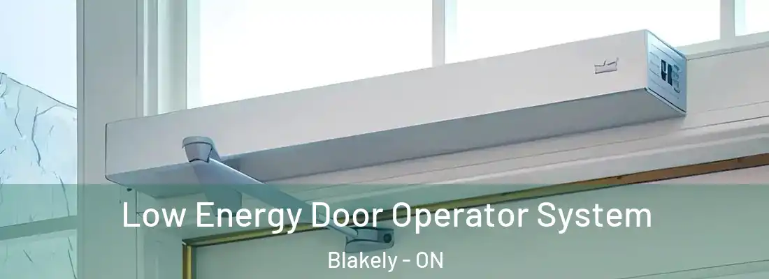  Low Energy Door Operator System Blakely - ON