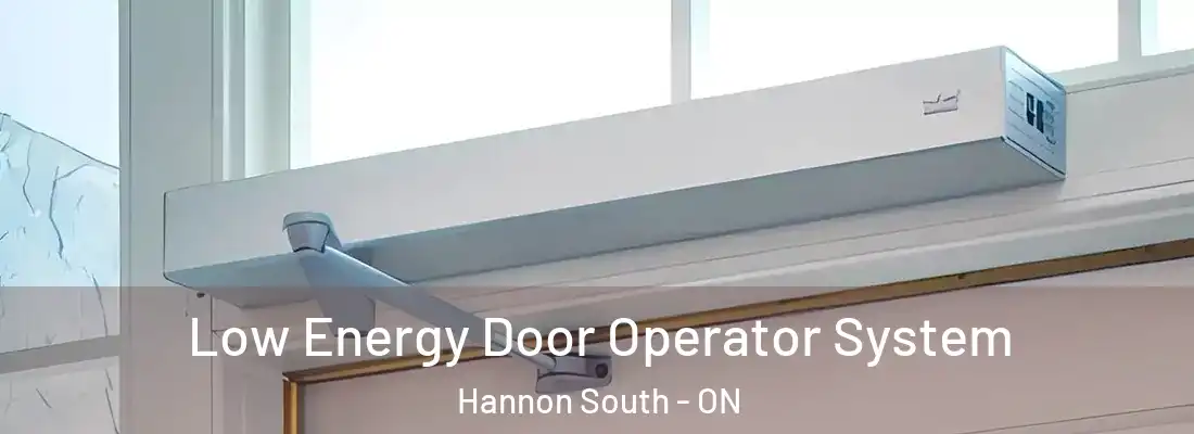 Low Energy Door Operator System Hannon South - ON
