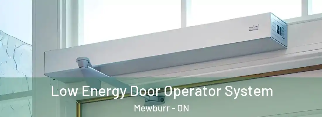  Low Energy Door Operator System Mewburr - ON