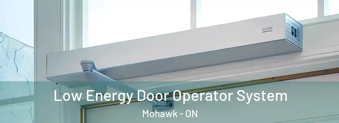 Low Energy Door Operator System Mohawk - ON