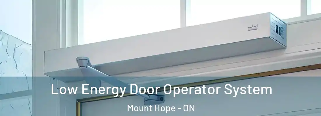  Low Energy Door Operator System Mount Hope - ON