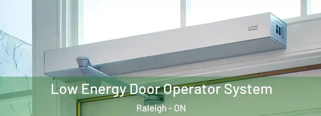  Low Energy Door Operator System Raleigh - ON