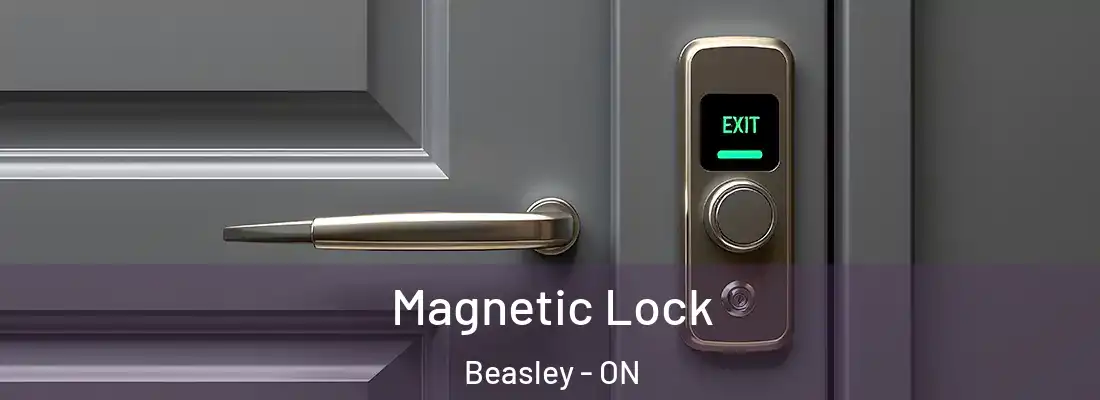  Magnetic Lock Beasley - ON