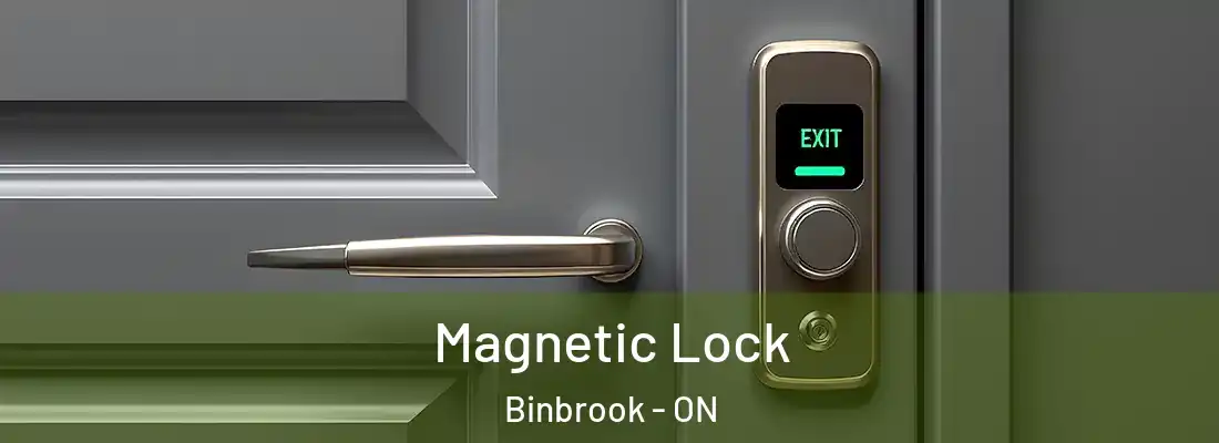  Magnetic Lock Binbrook - ON