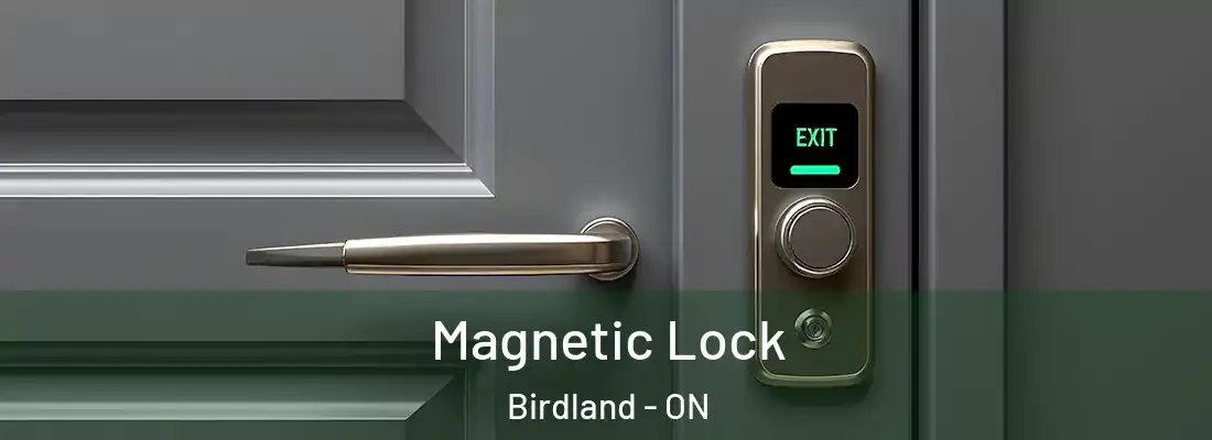  Magnetic Lock Birdland - ON
