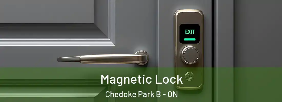  Magnetic Lock Chedoke Park B - ON