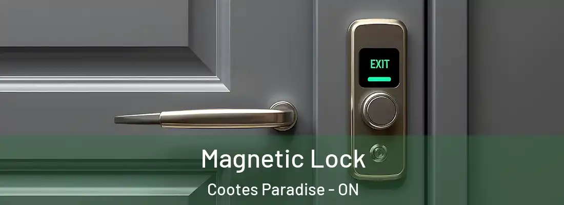  Magnetic Lock Cootes Paradise - ON